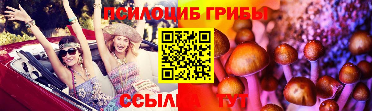 Псилоцибиновые грибы Psilocybine cubensis  Вход с VPN  закладка  Лесосибирск 